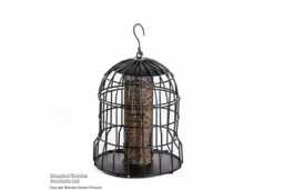 Squirrel-Proof Bird Feeder - Heavy-Duty Metal, Bio-Master Coating, Songbird-Friendly - thumbnail 1