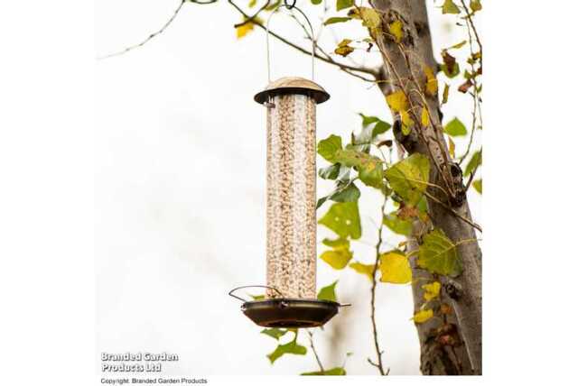 Weather-Resistant Mealworm & Suet Bird Feeder - Durable Zinc & Brass, Songbird-Friendly - image 1