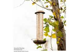 Weather-Resistant Mealworm & Suet Bird Feeder - Durable Zinc & Brass, Songbird-Friendly - thumbnail 1