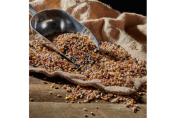 All-Season Songbird-Friendly Bird Food Mix - Nutrient-Rich, Wildlife-Supporting Seed Blend - thumbnail 5