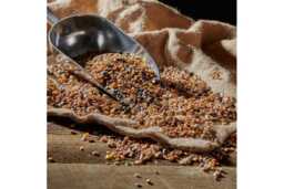 All-Season Songbird-Friendly Bird Food Mix - Nutrient-Rich, Wildlife-Supporting Seed Blend