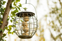 Squirrel-Proof Bird Feeder - Weather-Resistant Steel, Songbird Safe, 4-Fatball Capacity - thumbnail 2