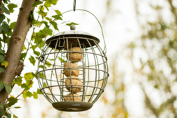 Squirrel-Proof Bird Feeder - Weather-Resistant Steel, Songbird Safe, 4-Fatball Capacity - thumbnail 6