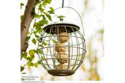 Squirrel-Proof Bird Feeder - Weather-Resistant Steel, Songbird Safe, 4-Fatball Capacity - thumbnail 4