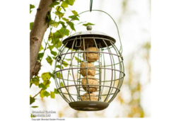 Squirrel-Proof Bird Feeder - Weather-Resistant Steel, Songbird Safe, 4-Fatball Capacity - thumbnail 8