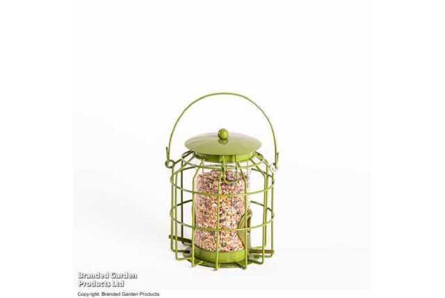 Mini Squirrel-Proof Bird Seed Feeder - Weather-Resistant Steel, Songbird-Friendly - image 1