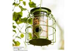 Mini Squirrel-Proof Bird Seed Feeder - Weather-Resistant Steel, Songbird-Friendly - thumbnail 4