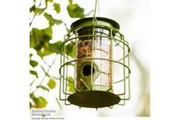 Mini Squirrel-Proof Bird Seed Feeder - Weather-Resistant Steel, Songbird-Friendly - thumbnail 8