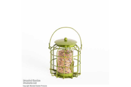 Mini Squirrel-Proof Bird Seed Feeder - Weather-Resistant Steel, Songbird-Friendly - thumbnail 5