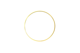 Nordic Round Mirror with Gold Frame, Defog and Shatterproof Design - thumbnail 5