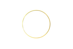 Nordic Round Mirror with Gold Frame, Defog and Shatterproof Design
