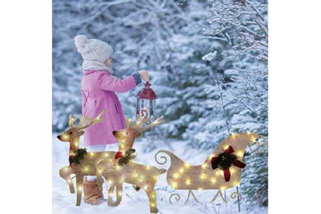 PRICE DROP! LED Christmas Sleigh & Reindeer Light Set - Pre-Lit, Battery-Operated, Indoor/Outdoor Festive Decoration (30cm/32cm) - image 1