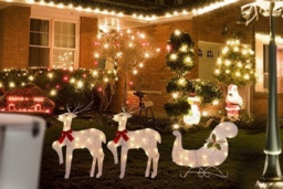PRICE DROP! LED Christmas Sleigh & Reindeer Light Set - Pre-Lit, Battery-Operated, Indoor/Outdoor Festive Decoration (30cm/32cm) - thumbnail 2