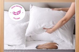 Luxury Duck Feather Pillows - Medium Firm, Hypoallergenic, 100% Cotton Cover, Machine Washable - Single, Double or Family Pack - thumbnail 4