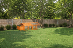Chicken Coop & Small Animal Hutch for 4-8 Hens, Rabbits or Ducks - Easy-Clean, Secure & Expandable - thumbnail 6