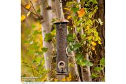 Supreme Weather-Resistant Seed Feeder for Songbirds - Durable Brass & Mesh Design - thumbnail 1