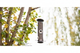Supreme Weather-Resistant Seed Feeder for Songbirds - Durable Brass & Mesh Design - thumbnail 2