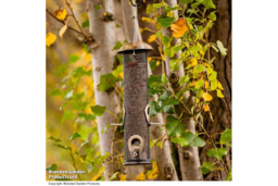 Supreme Weather-Resistant Seed Feeder for Songbirds - Durable Brass & Mesh Design - thumbnail 5