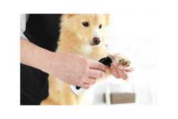 Silent Groom Pro Rechargeable Nail Grinder for Small Pets - Quiet, Safe & Portable - thumbnail 1