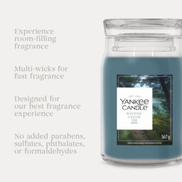 Bayside Cedar Candle Yankee Candle, Blue - Fresh & Clean - thumbnail 6
