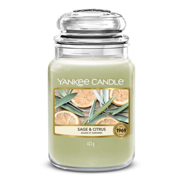 Sage & Citrus Candle Yankee Candle, Green, 10.7cm x 16.8cm - image 1