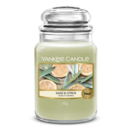 Sage & Citrus Candle Yankee Candle, Green, 10.7cm x 16.8cm - thumbnail 2