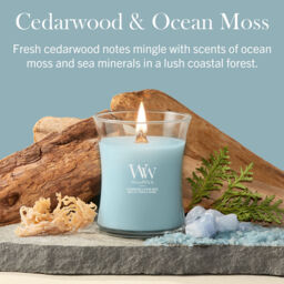 Cedarwood & Ocean Moss Candle WoodWick, Blue - Fresh & Clean - thumbnail 5