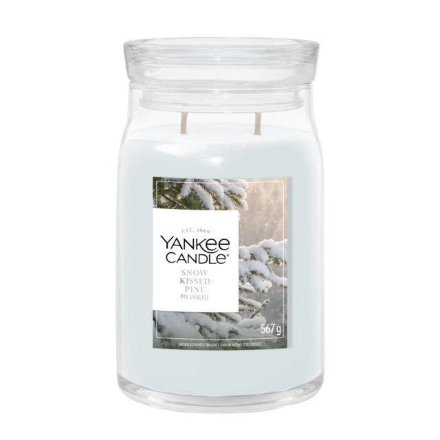 Snow Kissed Pine Candle Yankee Candle, White - Fresh & Clean - image 1
