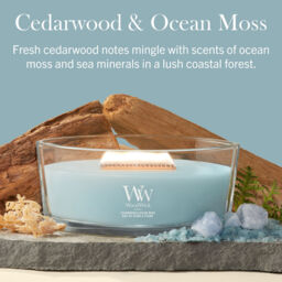 Cedarwood & Ocean Moss Candle WoodWick, Blue - Fresh & Clean - thumbnail 6