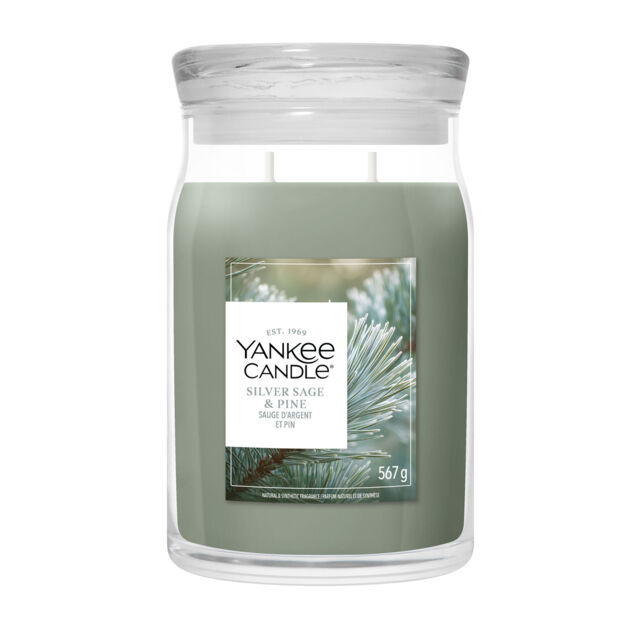 Silver Sage & Pine Candle Yankee Candle, Green - Woody - image 1