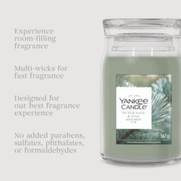 Silver Sage & Pine Candle Yankee Candle, Green - Woody - thumbnail 7