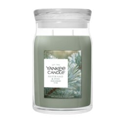 Silver Sage & Pine Candle Yankee Candle, Green - Woody - thumbnail 1