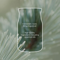 Silver Sage & Pine Candle Yankee Candle, Green - Woody - thumbnail 6