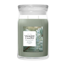 Silver Sage & Pine Candle Yankee Candle, Green - Woody - thumbnail 2