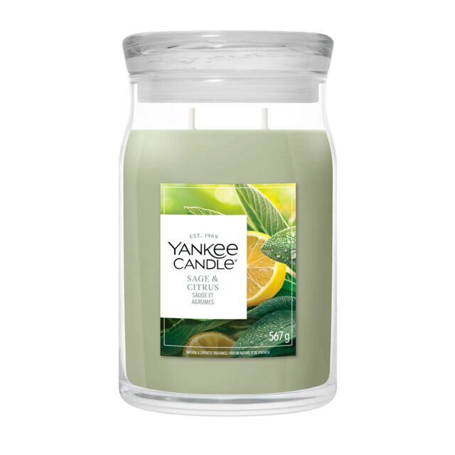 Sage & Citrus Candle Yankee Candle, Green - image 1