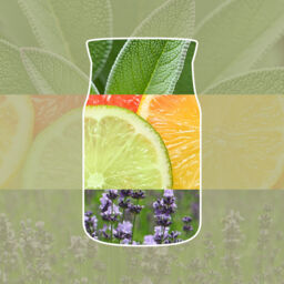 Sage & Citrus Candle Yankee Candle, Green - thumbnail 3