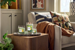 Sage & Citrus Candle Yankee Candle, Green - thumbnail 5