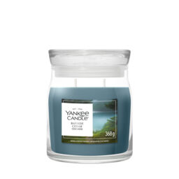 Bayside Cedar Candle Yankee Candle, Blue - Fresh & Clean - thumbnail 1