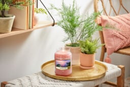 Cliffside Sunrise Candle Yankee Candle, Pink, 10.7cm x 16.8cm - Fruity - thumbnail 5