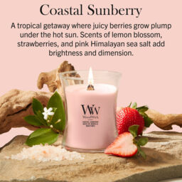Coastal Sunberry Candle WoodWick, Pink - Fruity & Citrus - thumbnail 5