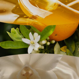 White Honey Candle WoodWick - Ambery - thumbnail 3