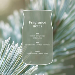 Silver Sage & Pine Candle Yankee Candle, Green - Woody - thumbnail 5
