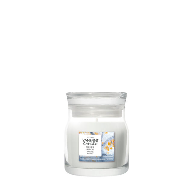 Silver Birch Candle Yankee Candle, Neutrals - Fresh & Clean - image 1