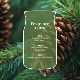 Balsam & Cedar Fireside Candle Yankee Candle, Green - Woody - thumbnail 4