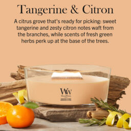 Tangerine & Citron Candle WoodWick, Orange - Fruity & Citrus - thumbnail 6