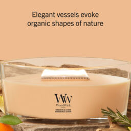 Tangerine & Citron Candle WoodWick, Orange - Fruity & Citrus - thumbnail 7