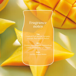 Starfruit & Sunshine Candle Yankee Candle, Orange - Fruity - thumbnail 4