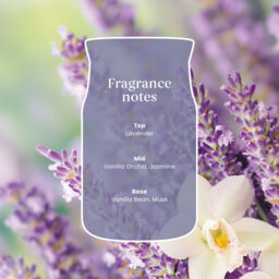 Lavender Vanilla Candle Yankee Candle, Purple - Floral - thumbnail 5