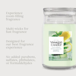 Cucumber Mint Cooler Candle Yankee Candle, Green - Citrus - thumbnail 6