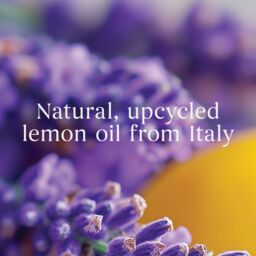 Lemon Lavender Candle Yankee Candle, Purple - Citrus - thumbnail 4